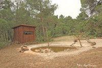 Cañada del Espartal Bird Hide